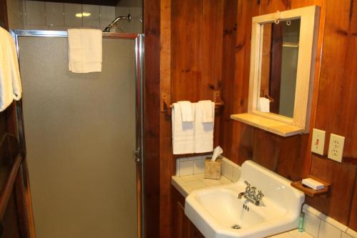 a bathroom with a shower and a sink and a mirror at 6 Squirrels Nest in Wawona