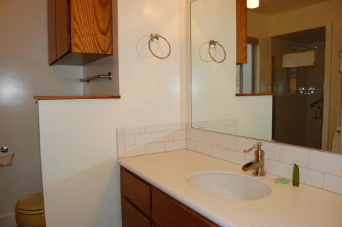 une salle de bain avec un lavabo et un miroir dans l'établissement 43A Mountain Retreat, à Wawona