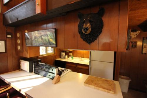 uma cozinha com cabeça de urso pendurada na parede em 6B Meadow View em Wawona