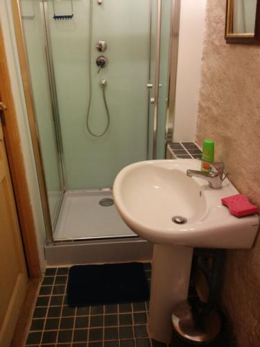 ein Bad mit einem Waschbecken und einer Dusche in der Unterkunft Studio dans un cadre champetre in Moiry