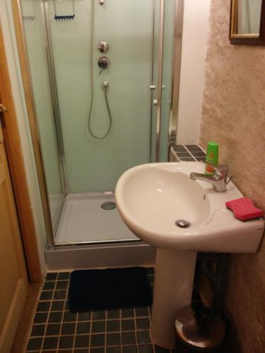 a bathroom with a sink and a shower at Studio dans un cadre champetre in Moiry