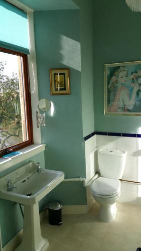 a bathroom with a white toilet and a sink at Castle Vale House in Berwick-Upon-Tweed