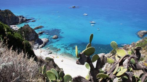 a view of a beach with cacti and a cactus at Case Vacanze Sangeni in Capo Vaticano