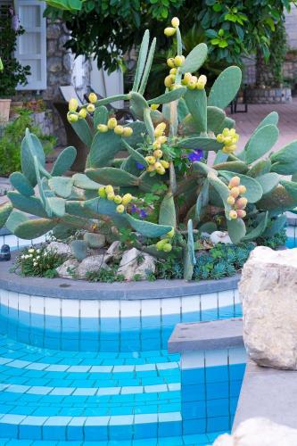 Villa Ketty Resort – Photos 5