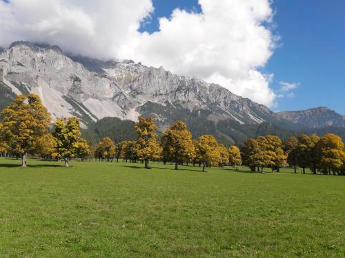 a field with trees and a mountain in the background at Appartement "Haus Lisa" in Ramsau am Dachstein in Ramsau am Dachstein