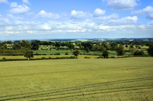 a large green field with trees in the distance at Black Swan Inn in Masham