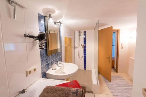 ein Bad mit einem Waschbecken und einer Dusche in der Unterkunft Wachahof in Edlitz