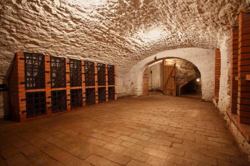 a wine cellar with a tunnel with wine racks at Penzion Štybar in Stříbro