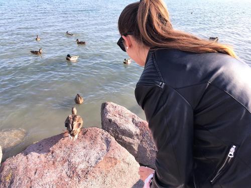 Zdjęcie z galerii obiektu Tulipán Apartman w mieście Balatonalmádi
