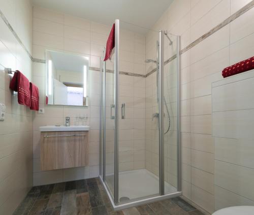 W łazience znajduje się prysznic i umywalka. w obiekcie Anitas Altstadtpension w mieście Kelheim