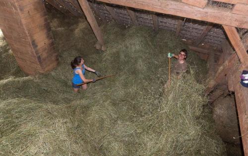 a man and woman standing in hay in a barn at Wachahof in Edlitz