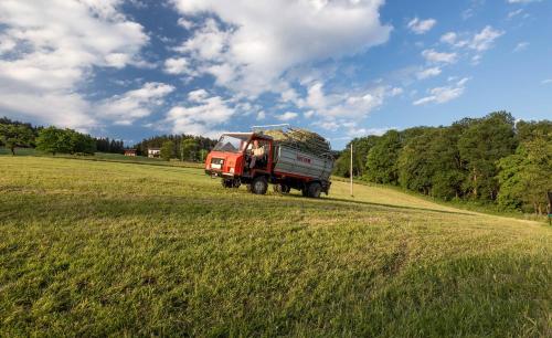 a red truck is driving down a field at Wachahof in Edlitz