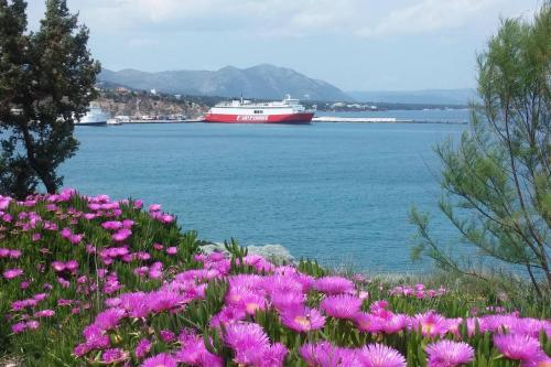 Φωτογραφία από το άλμπουμ του Overlooking the blue sea στη Ραφήνα