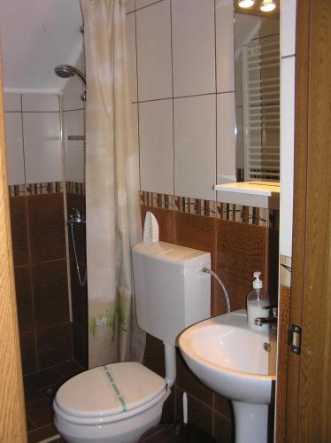 a small bathroom with a toilet and a sink at Pensiunea Miorita Arad in Arad