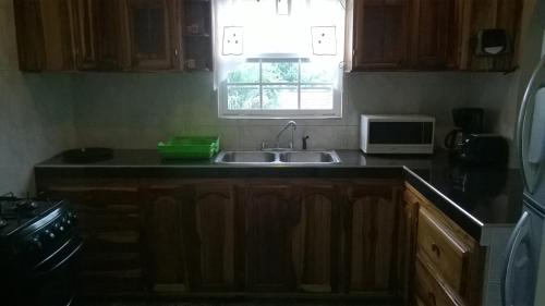 a kitchen with a sink and a window at Fairy Hill Palms in Port Antonio