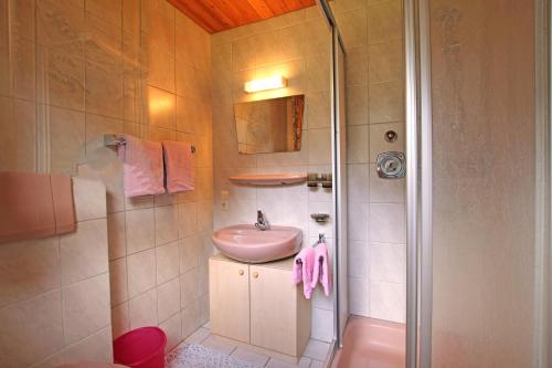 ペットイ・アム・アールベルクにあるAppartements Zangerleのバスルーム(シンク、シャワー付)