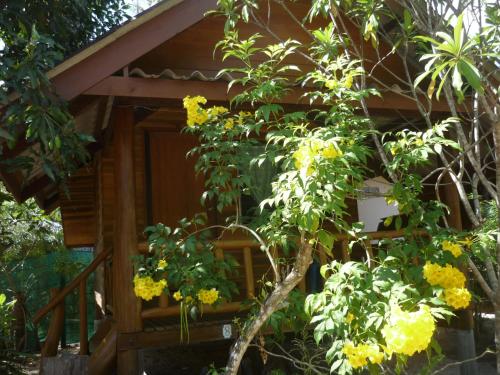 a tree with yellow flowers in front of a building at Pasai Beach Lodge in Ko Yao Noi