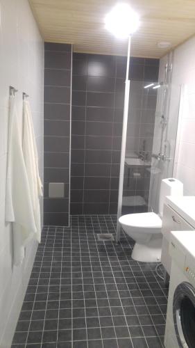 a bathroom with a shower and a toilet and a sink at Pähkinäpuisto Apartments in Tampere