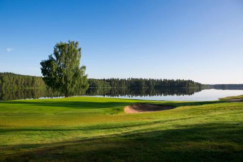 a golf course with a tree and a lake at Isaberg Golfklubb in Hestra