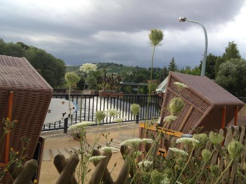 a view of a garden with cactuses and a fence at Hotel garni Zum Rebstock in Naumburg