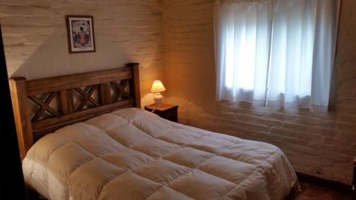 a bedroom with a large bed and a window at Cabaña del Alto Tupungato in Tupungato