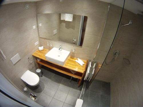 y baño con lavabo, espejo y aseo. en Cresta Hotel, en Klosters