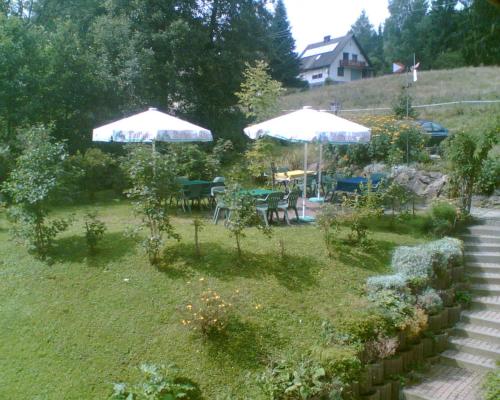 a garden with two umbrellas and a table and chairs at Landgasthaus Gemsennest in Feldberg