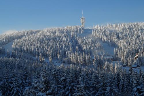 eine Luftansicht auf einen schneebedeckten Berg mit einem Turm in der Unterkunft Klinovec Apartments in Loučná pod Klínovcem