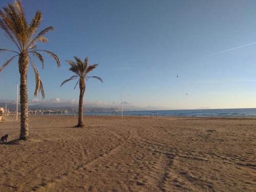 two palm trees on a sandy beach near the ocean at Al Andalus, Playa de Muchavista in El Campello