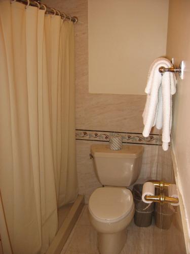 a bathroom with a toilet and a shower curtain at Domino Inn in North Bergen