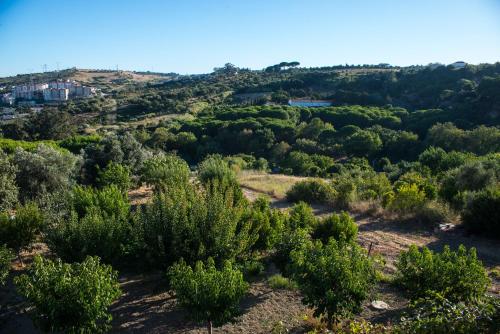 a view from the top of a hill with trees at Quinta Montebelo in Vila Franca de Xira