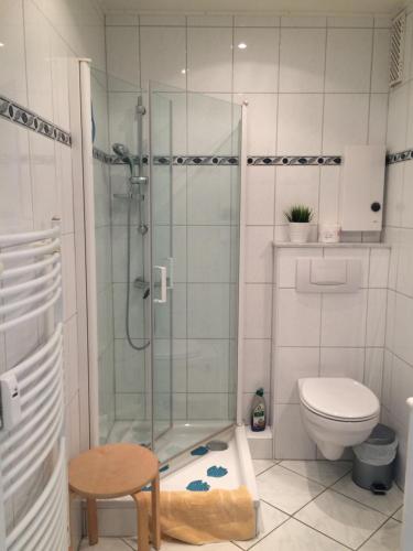 a bathroom with a shower and a toilet at Laboe-Hafen in Laboe