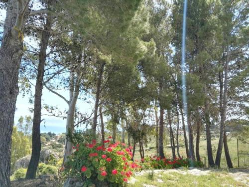 Villa del Mar Scopello – Photos 2