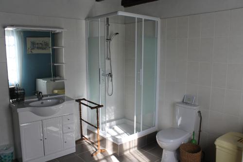 une salle de bain avec une douche, des toilettes et un lavabo dans l'établissement Propriété à 5 km de Honfleur, à Fourneville