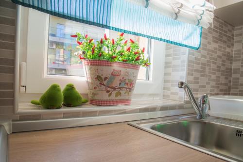 a kitchen counter with a window sill with a potted plant at Apartment Cristian 2 in Timişoara