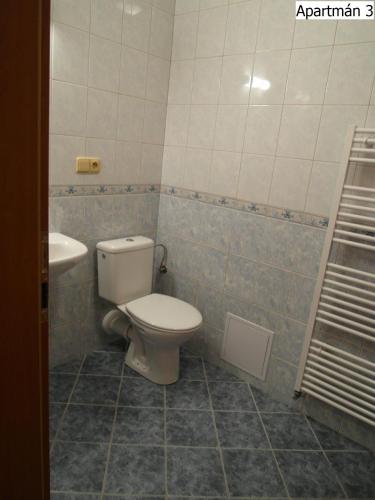 a bathroom with a toilet and a sink at Apartmány Horní Planá in Horní Planá