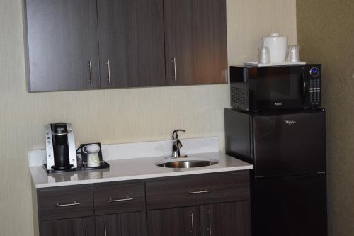 a kitchen with a sink and a microwave and a refrigerator at Holiday Inn University Area Charlottesville by IHG in Charlottesville