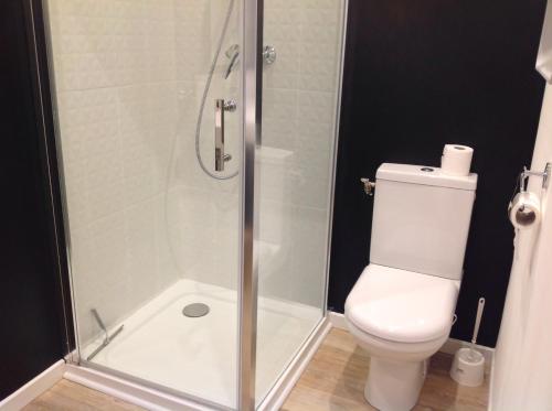 ヴィムルーにあるJardin au bord de merのバスルーム(トイレ、ガラス張りのシャワー付)