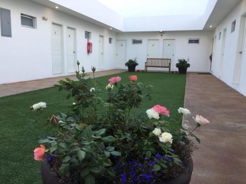 un patio con flores en un edificio en Hotel Baja en Tijuana