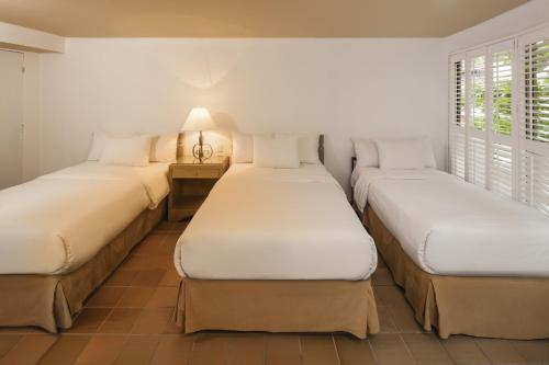 Gallery image of Decameron Aquarium - All Inclusive in San Andrés