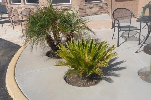 Gambar di galeri bagi Palms Inn di Gila Bend