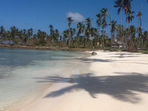 a view of a beach with palm trees and water at Villa La Caleta in Las Galeras