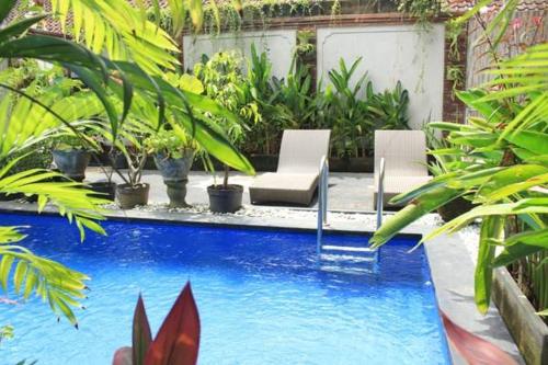 a pool with chairs and plants in a yard at Lucky Family Villa in Ubud