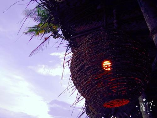 a traffic light with a palm tree in the background at Cinnabar Resort in Tangalle