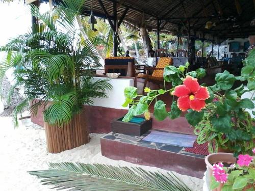 a group of plants and flowers on a patio at Remo e Berenice in Nosy Komba