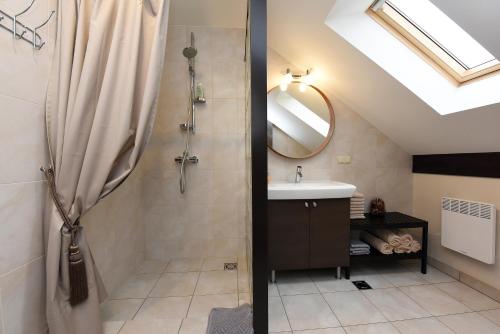 a bathroom with a shower and a sink and a mirror at Sodyba Puodžių Kaimas in Mackėnai