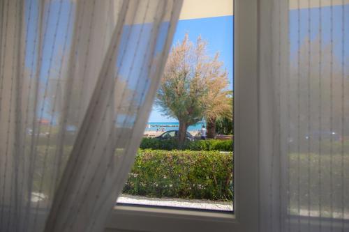 a window with curtains and a view of a tree at Casa Prima Fila Mare in Porto San Giorgio