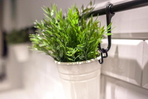 a plant in a white vase on a counter at GRANO APARTMENTS Gdańsk Motława SPA & Wellness in Gdańsk