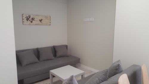 Χώρος καθιστικού στο Apartamentos Logroño Centro