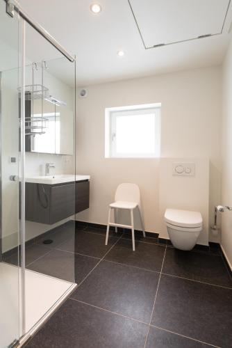 a bathroom with a toilet and a sink and a shower at Holiday home Zelenachten in Zele